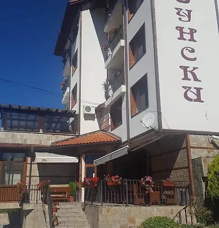 Hotel Uzunski 3*