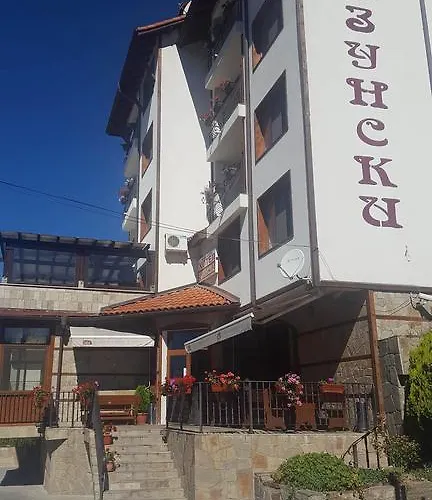 Hotel Uzunski 3*
